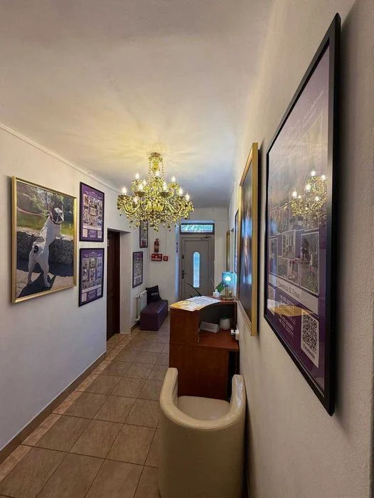250 злотых неделя -Лучший хостел! Hostel Warszawa Włochy -Tani Noclegi! Pokój – zdjęcie 12