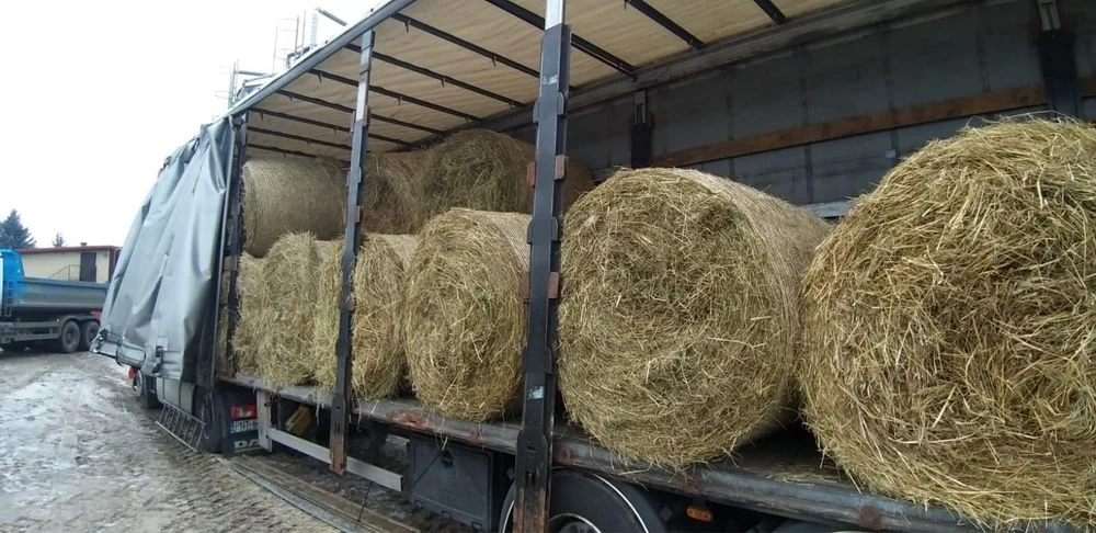 Siano dla krów / koni. Hurtowe ilości + transport w całej Europie – zdjęcie 2