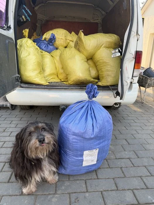 Obornik Koński Transport! – zdjęcie 3