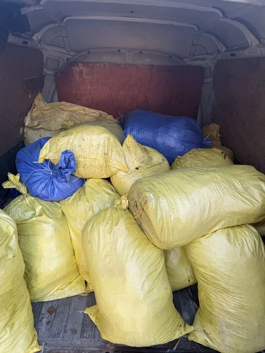 Obornik Koński Transport! – zdjęcie 7