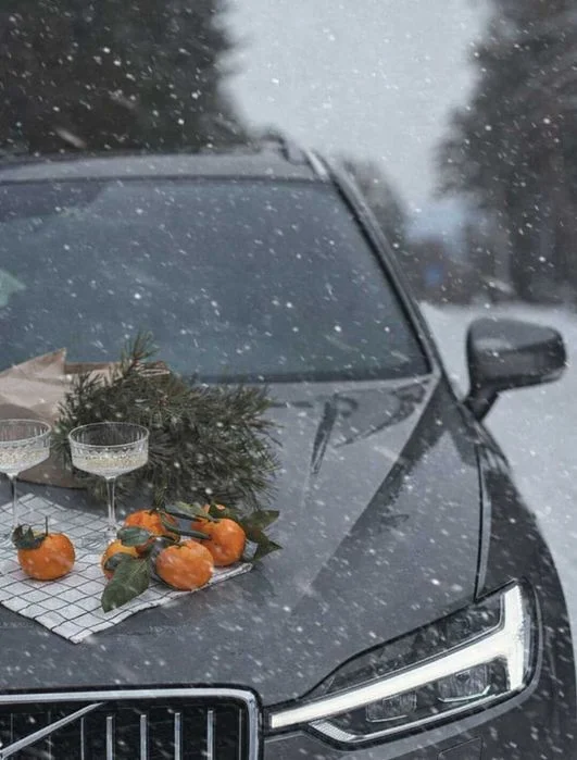 ZIMA / Boże Narodzenie / SYLWESTER z psem / DOMEK nad Morzem Sauna Balia CUDOWNY KLIMAT – zdjęcie 12