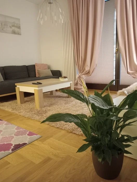 Apartament ‼SUZANNA Arkadia PROMO godz/noce/doby Arkadia ul. Kłopot – zdjęcie 2