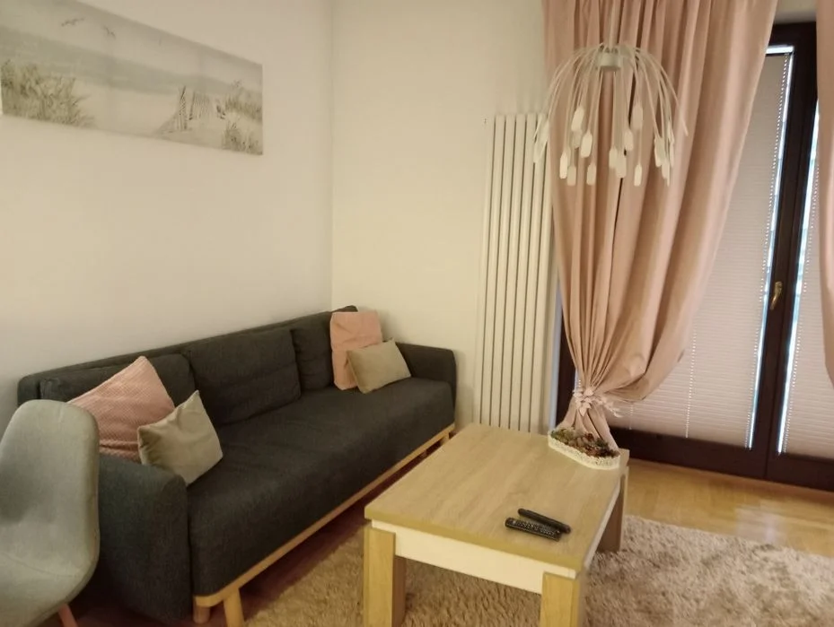 Apartament ‼SUZANNA Arkadia PROMO godz/noce/doby Arkadia ul. Kłopot – zdjęcie 3