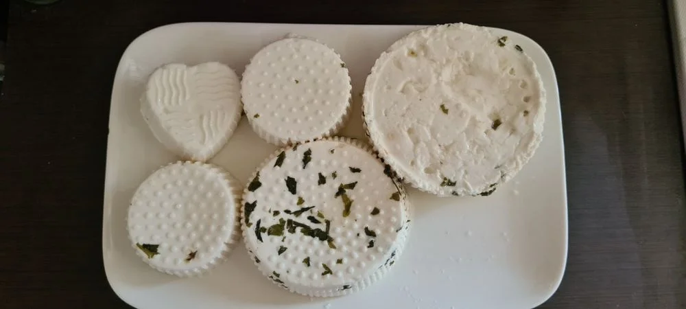 Mleko i sery kozie – zdjęcie 2