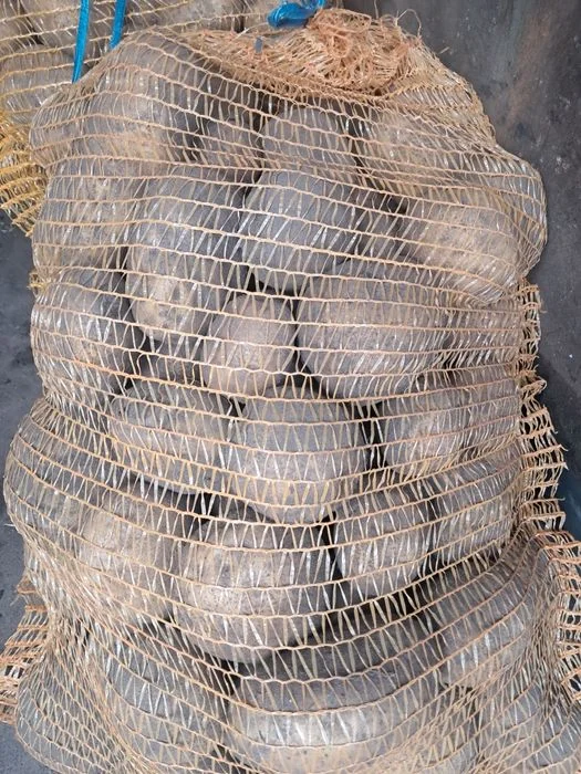 Ziemniaki vineta