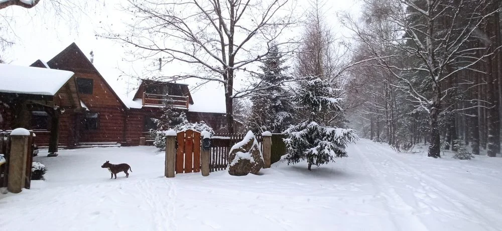 Willa Siemianówka - Nad jeziorem, Basen, Jacuzzi, Sauna. 50km od Białegostoku – zdjęcie 2