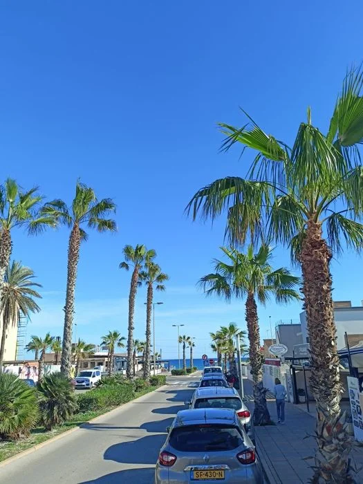 Hiszpania, La Mata, Torrevieja – Apartament przy plaży – Wynajem Sezonowy (min. 11 dni) – zdjęcie 11