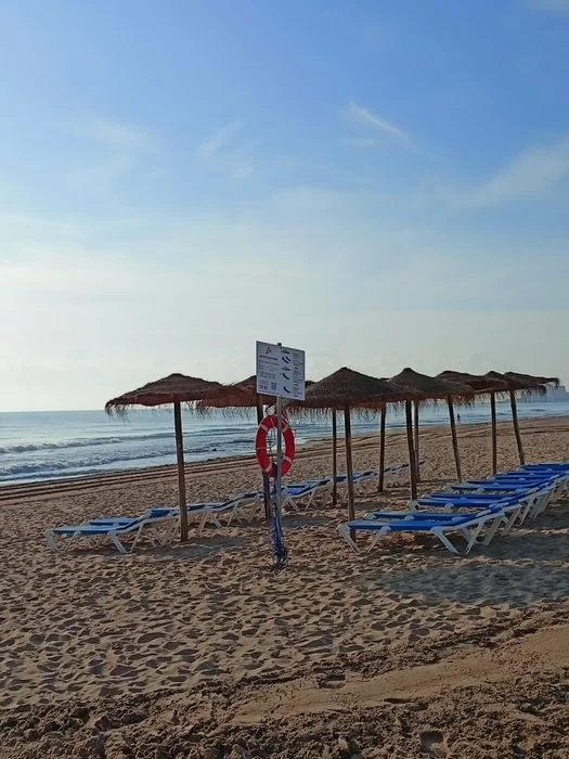 Hiszpania, La Mata, Torrevieja – Apartament przy plaży – Wynajem Sezonowy (min. 11 dni) – zdjęcie 12