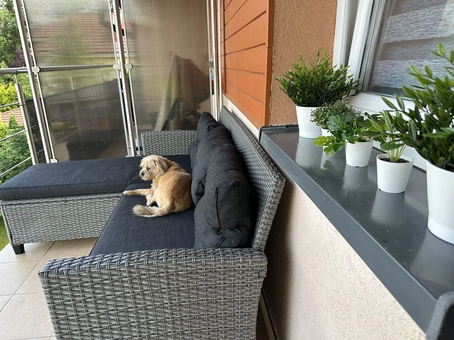 Apartament w Ustroniu ,Równica ,nocowanie ,sanatorium Równica,Utropek, blisko centrum – zdjęcie 3