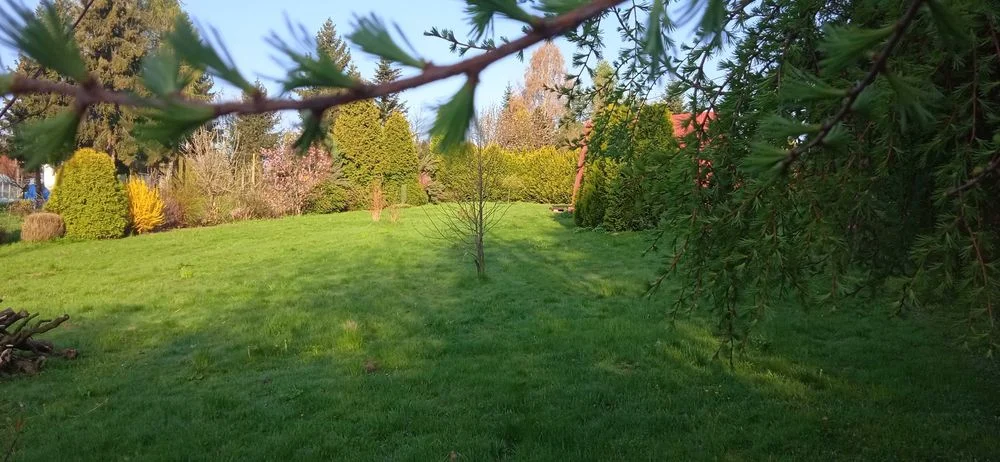 Domek letniskowy do wynajęcia – zdjęcie 9