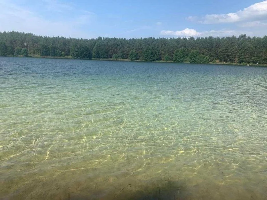 Smerfna Chatka domek nad jeziorem Kaszuby wakacje – zdjęcie 3