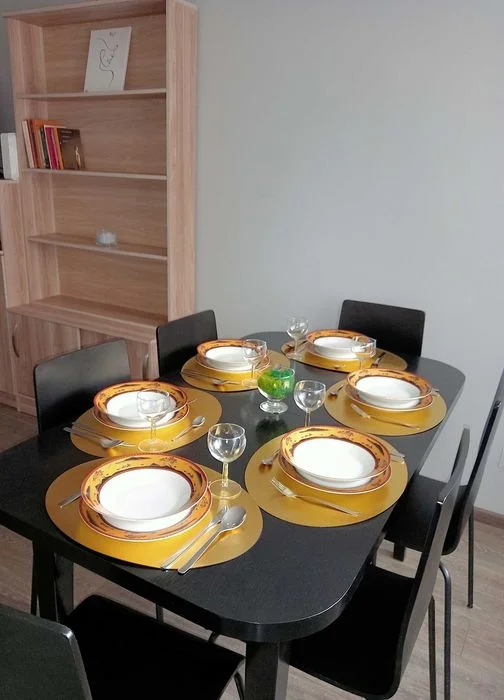 Nocleg Noclegi Malbork Apartament Queen przy Zamku w Malborku – zdjęcie 8