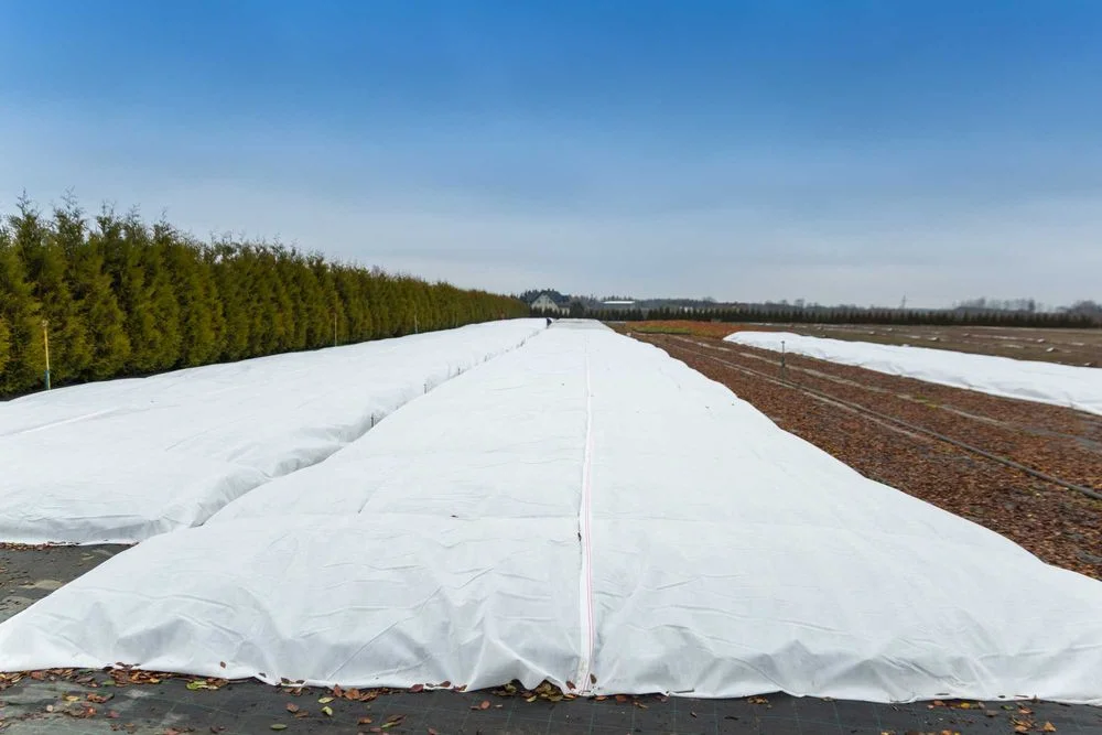 Agrowłóknina P30g szer 15.80m x DOWOLNA DŁUGOŚĆ - 8,80 zł/mb PROMOCJA ! – zdjęcie 6