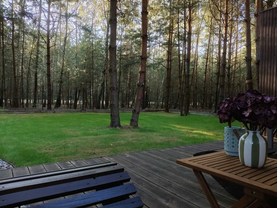 Domki na wynajem w lesie pod Warszawą - jacuzzi i sauna – zdjęcie 11