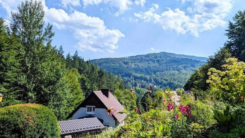 Willa Wielka Puszcza – Luksusowy Wypoczynek w Sercu Natury! Quady – zdjęcie 5