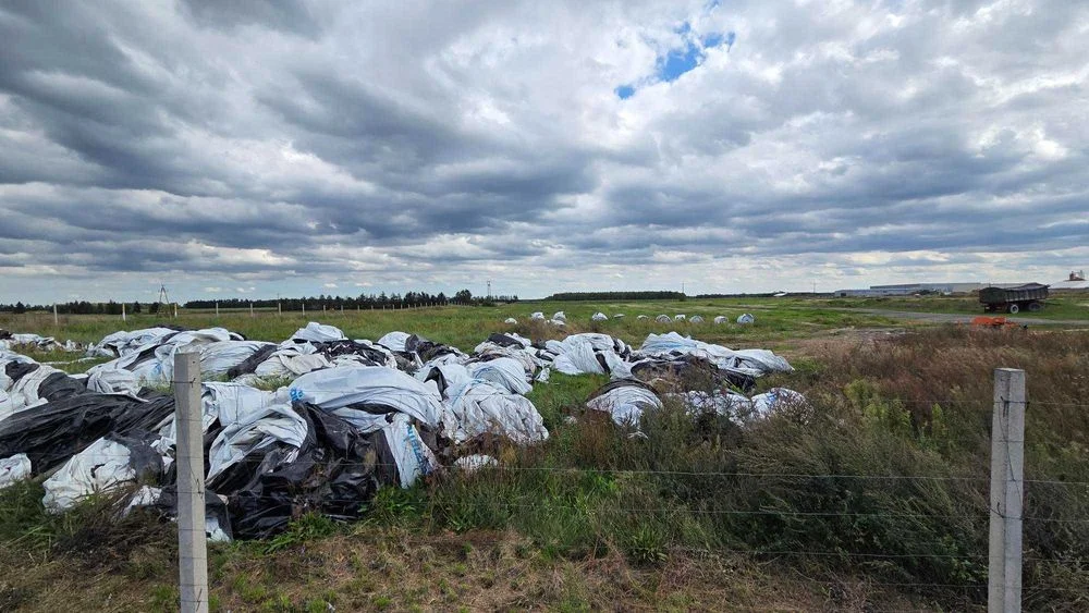 FOLIE ROLNICZE - gotowe do odbioru – zdjęcie 3