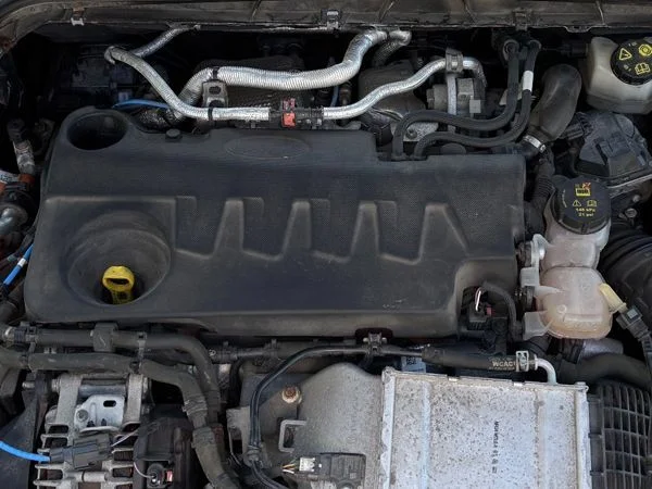 BCCA kompletny silnik 2.0 EcoBlue E6 Ford Focus Euro6 BCCB BCCC BCCD BCCE