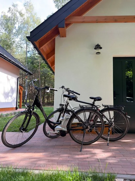 Domek całoroczny w lesie - sauna, jacuzzi. Święta, Sylwester – zdjęcie 9