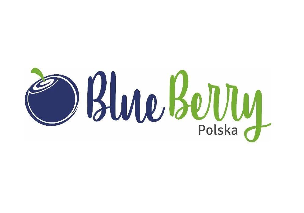 PROMOCJA 3 letnie oraz 4 letnie Sadzonki Borówki Amerykańskiej – zdjęcie 4