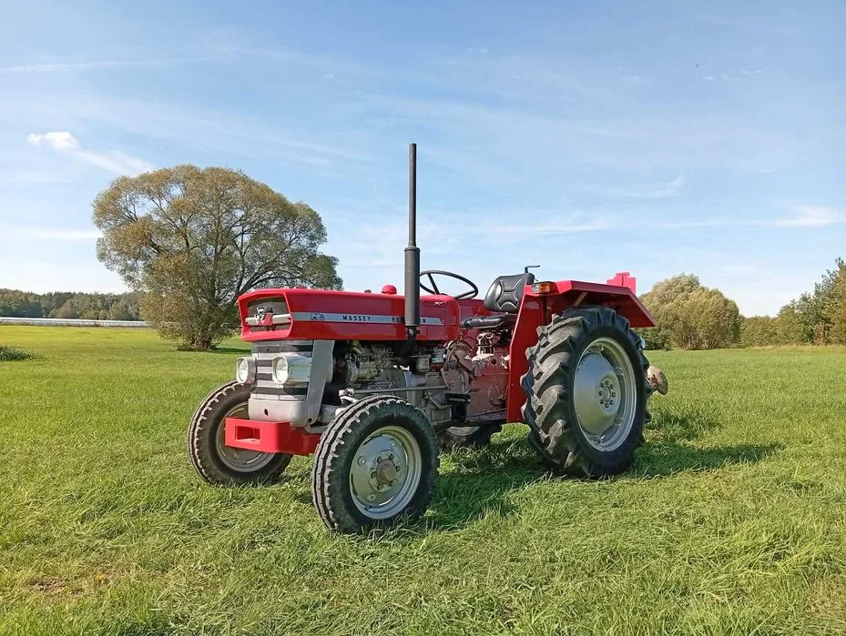 Massey Ferguson 135 MF135 37KM 1971r odnowiony – zdjęcie 6