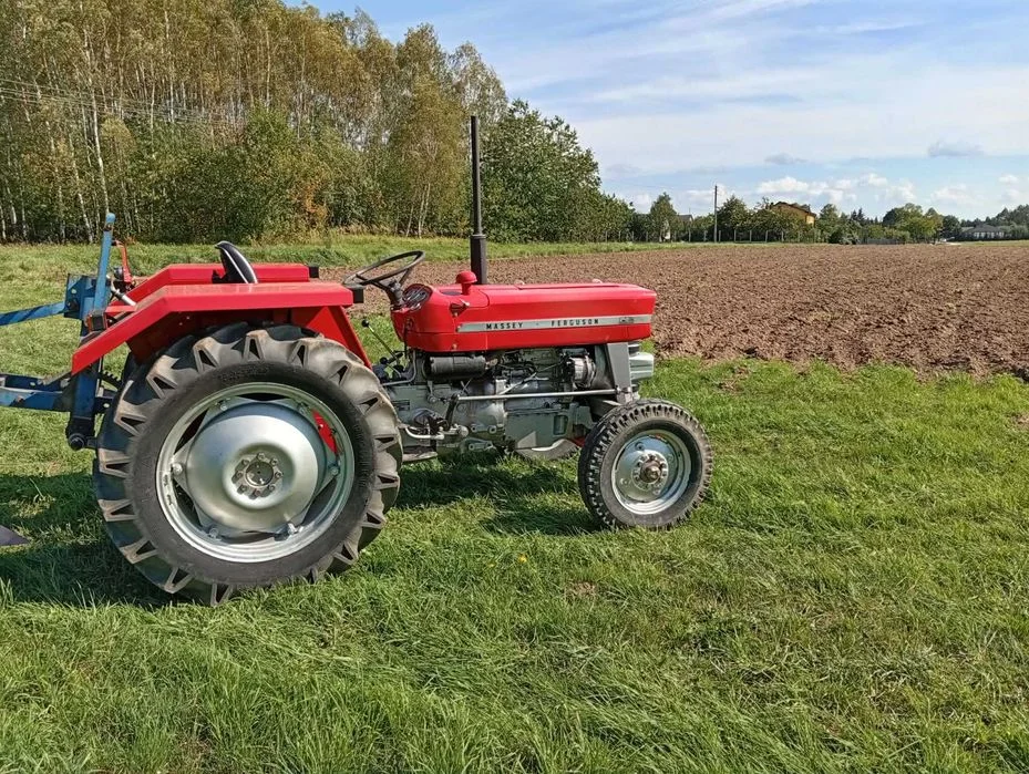 Massey Ferguson 135 MF135 37KM 1971r odnowiony – zdjęcie 5