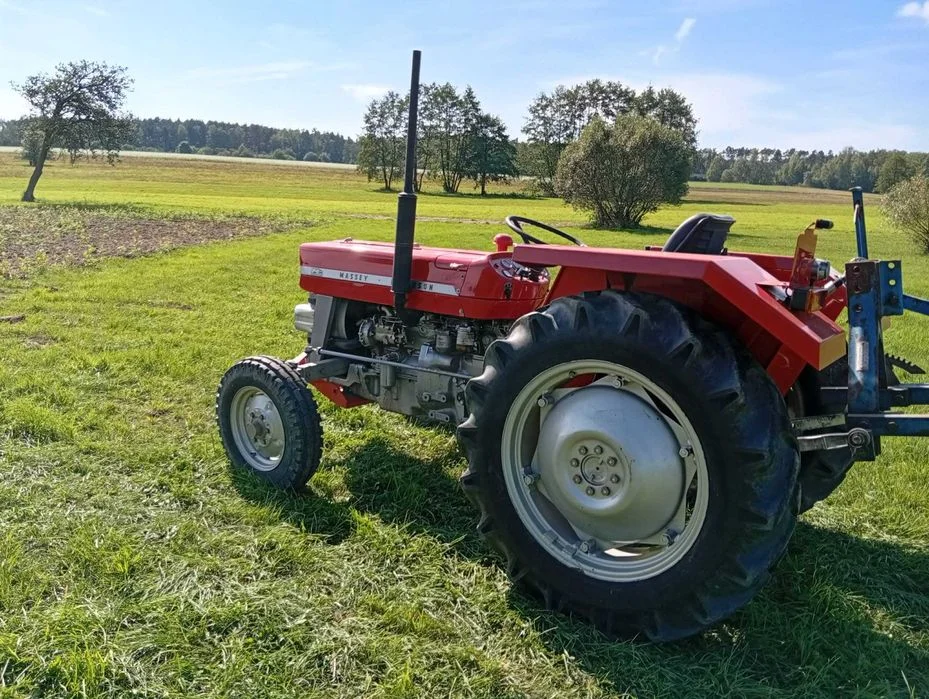 Massey Ferguson 135 MF135 37KM 1971r odnowiony – zdjęcie 4