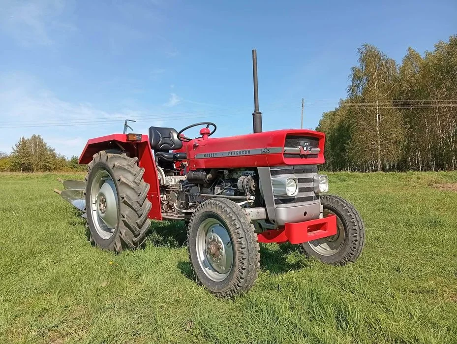 Massey Ferguson 135 MF135 37KM 1971r odnowiony