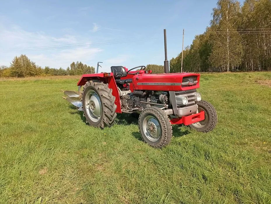Massey Ferguson 135 MF135 37KM 1971r odnowiony – zdjęcie 2