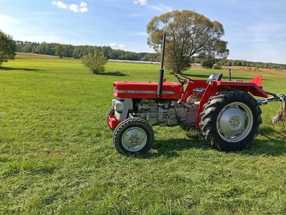 Massey Ferguson 135 MF135 37KM 1971r odnowiony – zdjęcie 3