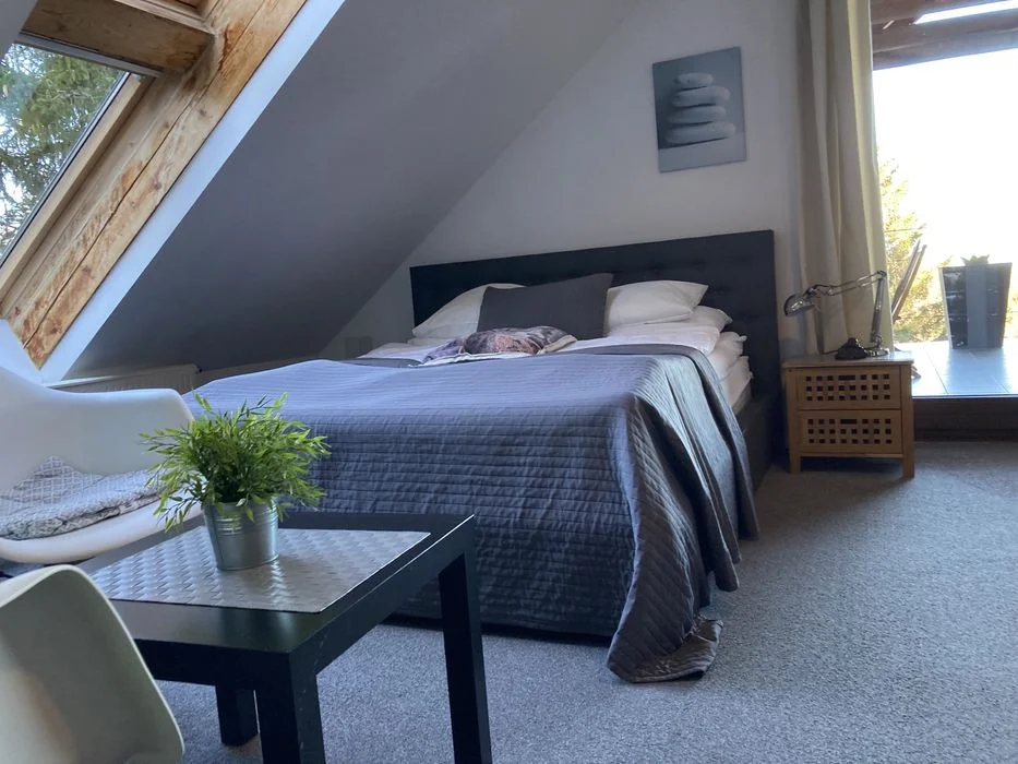 Willa SKALA - Nowy Obiekt Wakacje & Tanie noclegi w górach Apartament – zdjęcie 9