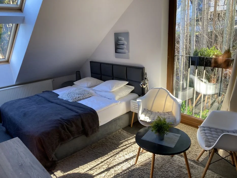 Willa SKALA - Nowy Obiekt Wakacje & Tanie noclegi w górach Apartament – zdjęcie 11