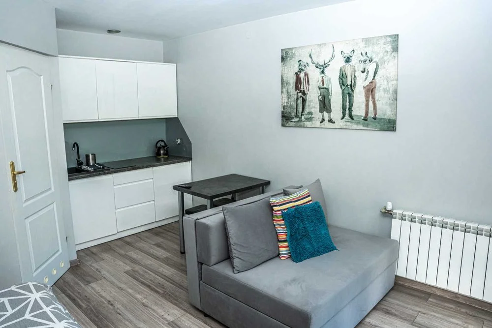 Noclegi Zawiercie Wysoki Standard Firmy Parking Wifi Kuchnia Grill Ognisko Sauna Jacuzzi Widok na Zamek – zdjęcie 9