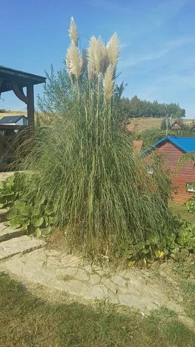 Domki ,kwatery pracownicze, – zdjęcie 11