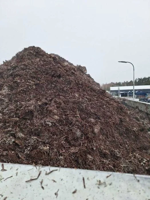 Podłoże popieczarkowe nawóz obornik – zdjęcie 3