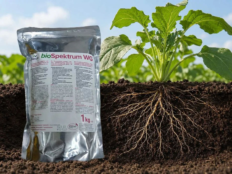Biospektrum WG , bakterie azotowe, aktywator gleby, 1 kg na 4 hektary, zwiększa potencjał twoich upraw. – zdjęcie 2