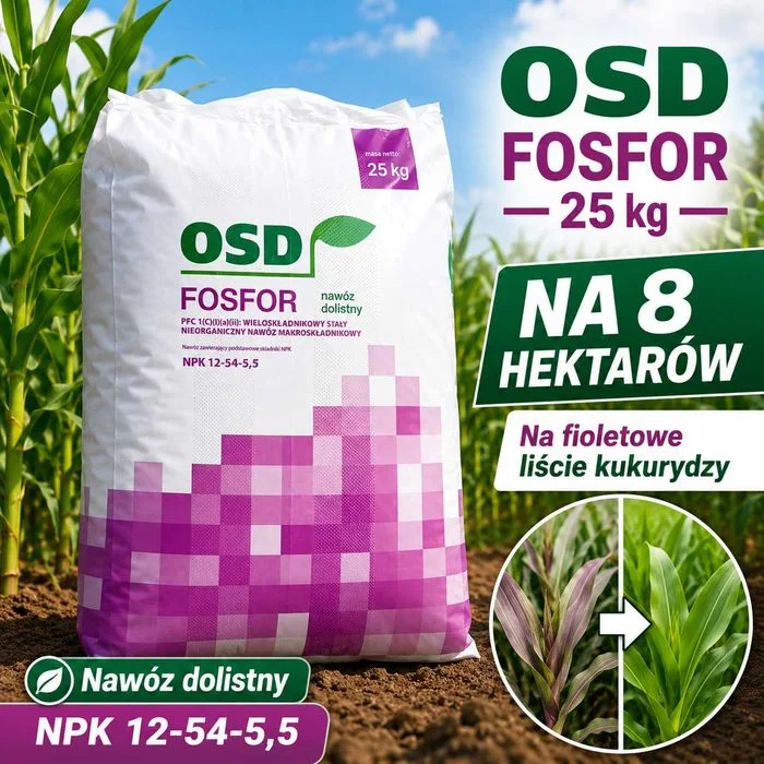 OSD FOSFOR na 8hektarów uprawy, stymulator wzrostu, nawóz dolistny do sadu i roślin fosforolubnych, nawóz na fioletowe liście kukurydzy – zdjęcie 3