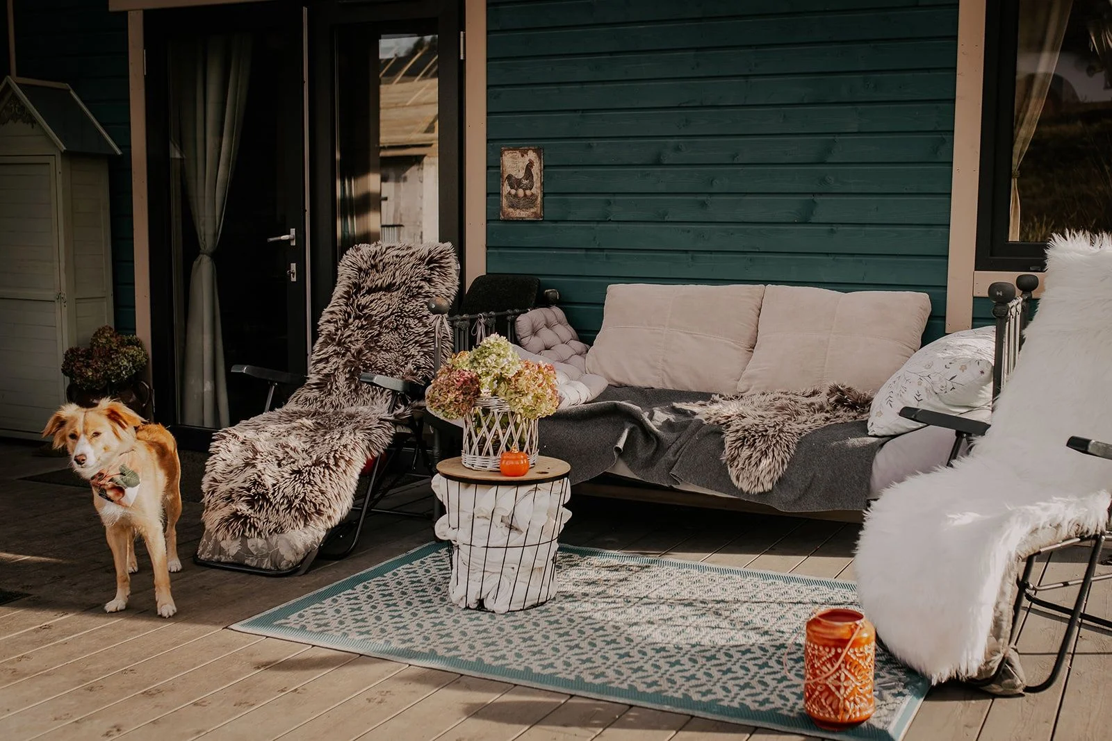 Wolne terminy w ferie, dwie sypialnie. Zwierzaki gratis