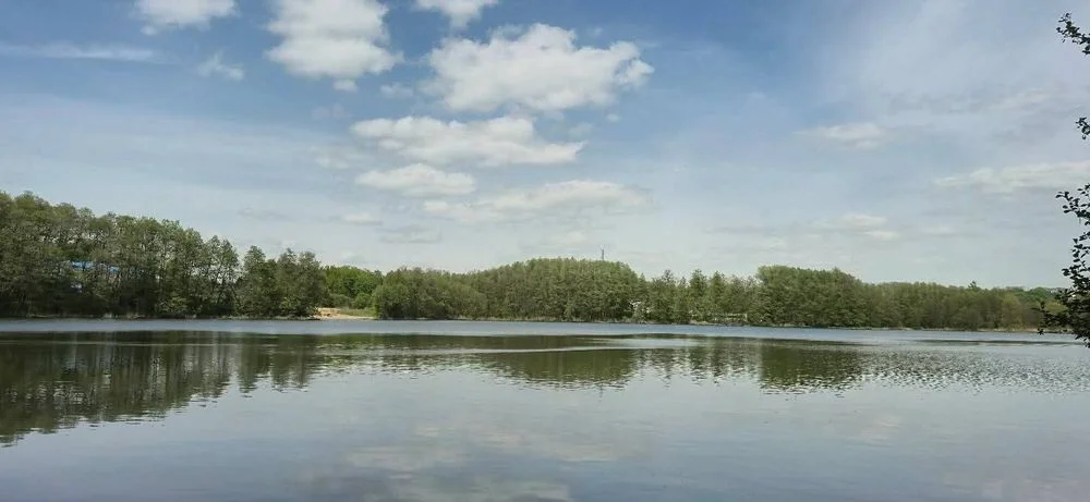 Domek letniskowy k.Łagowa Lubuskiego, GRZYBY, RYBY, SPACERY – zdjęcie 10