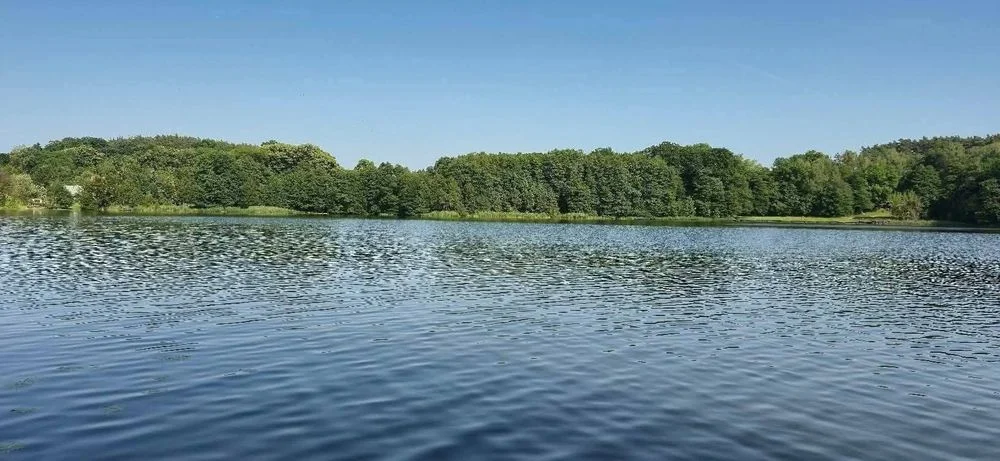 Domek letniskowy k.Łagowa Lubuskiego, GRZYBY, RYBY, SPACERY
