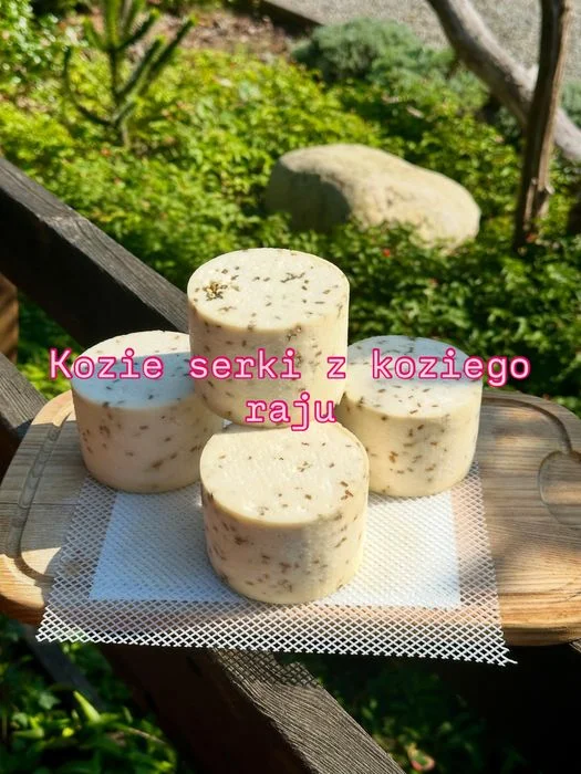 Mleko kozie od kóz, kozy,AN,anglonubijskich serwatka , serek kozi – zdjęcie 4