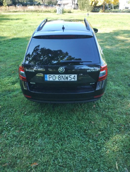 Skoda Octavia 184 KM DSG 4x4 Polski Salon – zdjęcie 5
