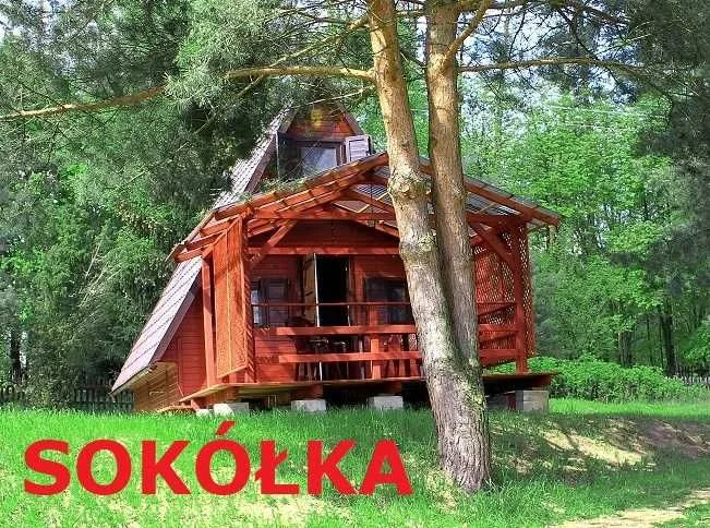 Wknd Wędkarski nad Jez. Dębno Domek Pomost Łódź Wędka Spining Feeder Minn Kota ! Wolny 09-11.10 – zdjęcie 9
