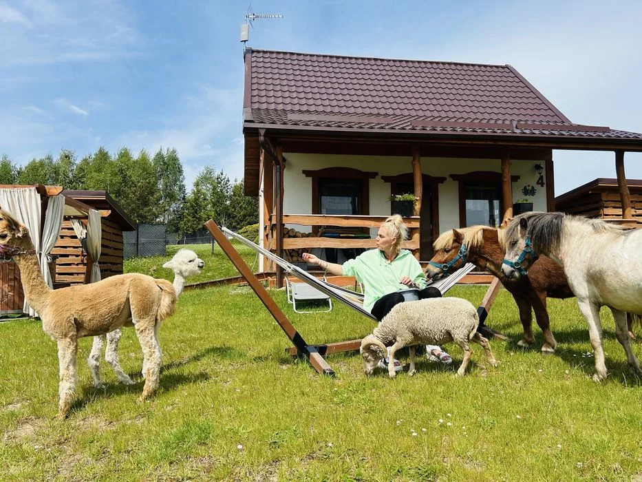 Domek Eden 1 Balia Sauna Mini zoo kroliki – zdjęcie 5