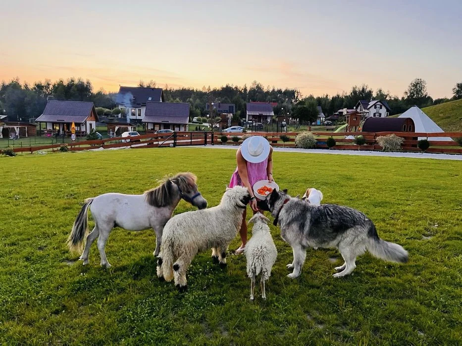Domek Eden 1 Balia Sauna Mini zoo kroliki – zdjęcie 6