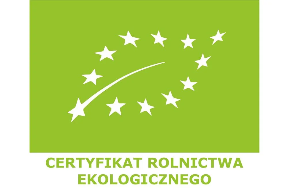 Sprzedam młodą gęś żywą lub tuszę, chów przydomowy i pastwiskowy, wolnorosnące 20-tygodniowe, certyfikat rolnictwa ekologicznego – zdjęcie 4