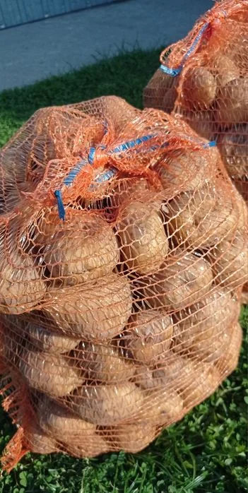 Ziemniaki bryza 15kg