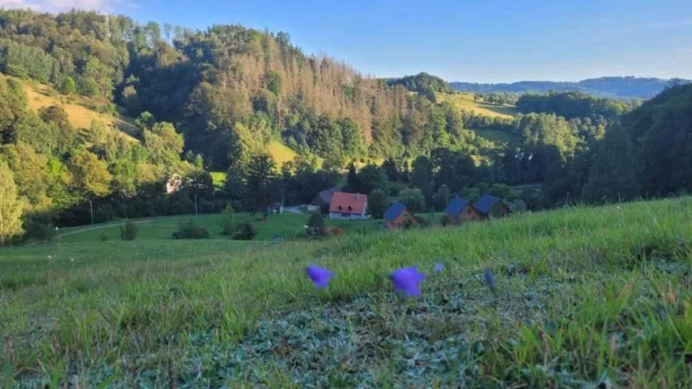 Domek w gorach – Kudowa-Zdrój – wolny termin na swieta Bozego Narodzenia – zdjęcie 4