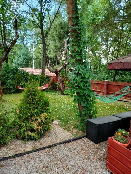 Domek nad Sanem /Jacuzzi/ KAJAKI GRATIS /Bieszczady/ – zdjęcie 8