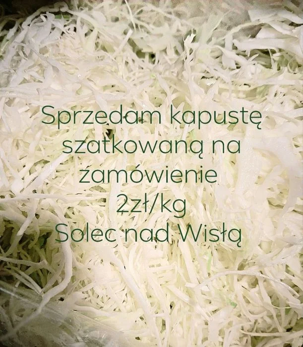 Kapusta szatkowana