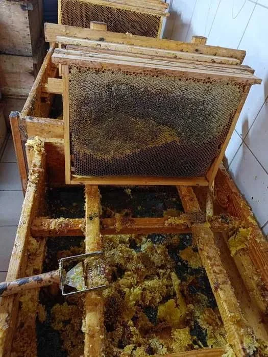 Naturalny MIÓD WIELOKWIATOWY Polski !Z Własnej PASIEKI - Wiadra miod – zdjęcie 6